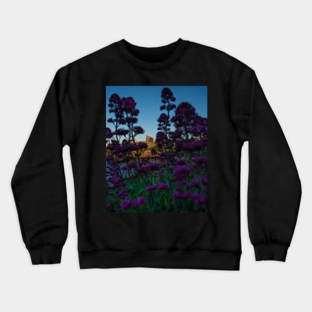 Tynemouth Priory Through Foreground Flora Crewneck Sweatshirt by axp7884